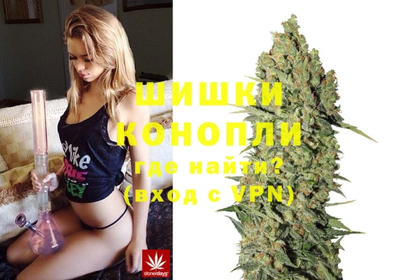 ешки Богданович